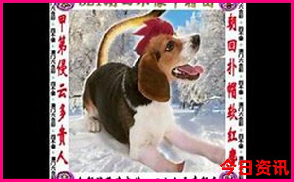深圳适合亲子游的地方有哪些